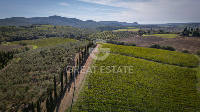 Image No.8-6 Bed Vineyard for sale