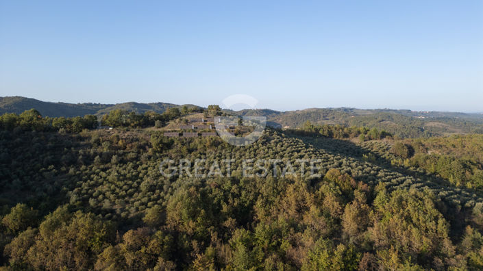 Image No.17-8 Bed Country House for sale