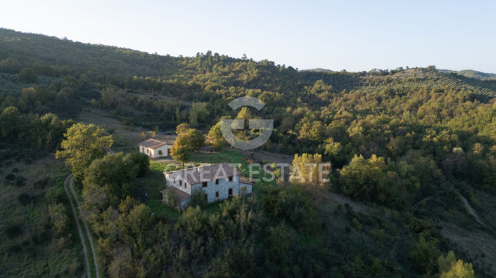 Image No.21-8 Bed Country House for sale