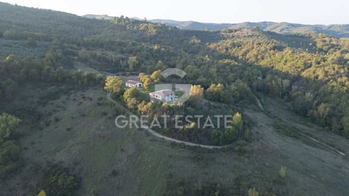 Image No.24-8 Bed Country House for sale