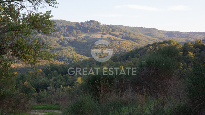 Image No.53-8 Bed Country House for sale