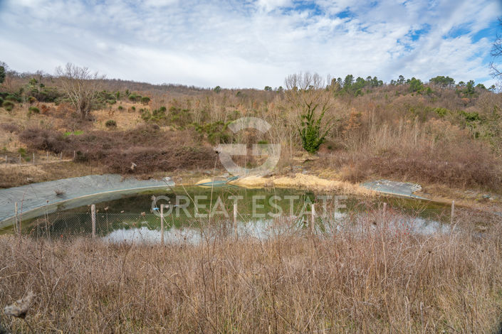 Image No.57-8 Bed Country House for sale