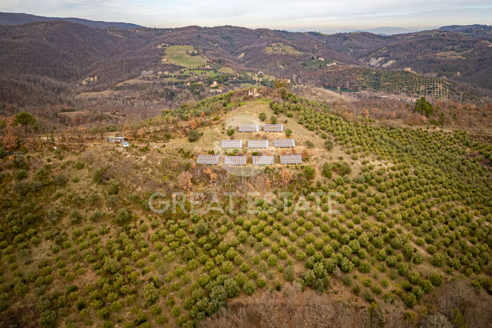 Image No.59-8 Bed Country House for sale