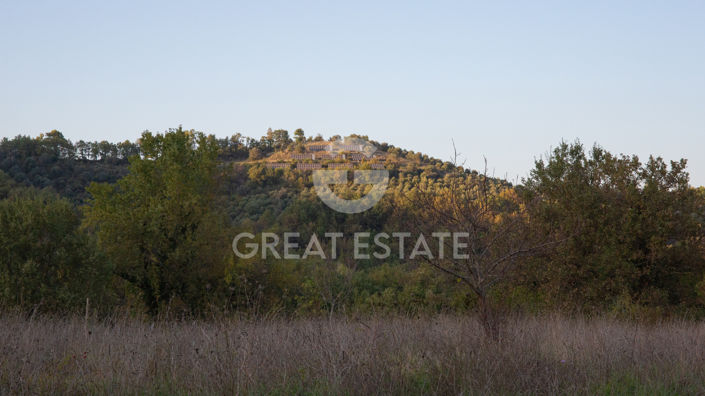 Image No.61-8 Bed Country House for sale