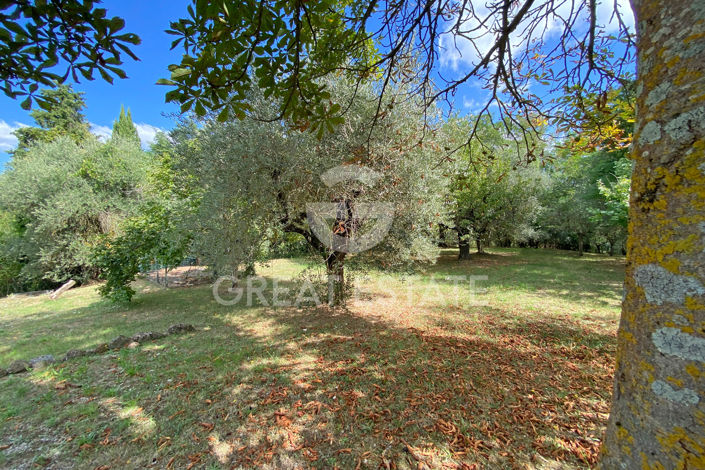 Image No.19-3 Bed Country House for sale