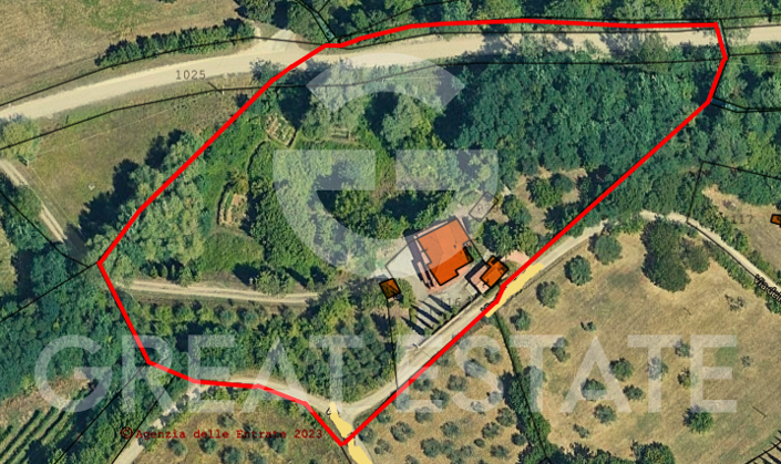 Image No.1-floorplan-1