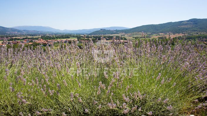 Image No.26-1 Bed Country House for sale