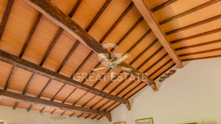 Image No.42-5 Bed Country House for sale