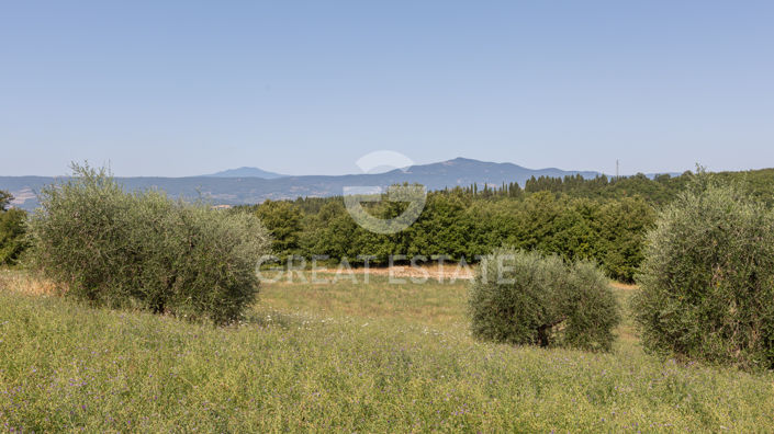 Image No.43-5 Bed Country House for sale