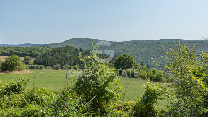 Image No.44-5 Bed Country House for sale