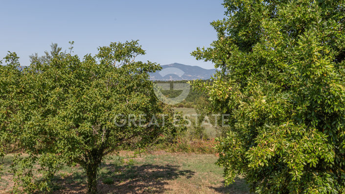 Image No.46-5 Bed Country House for sale