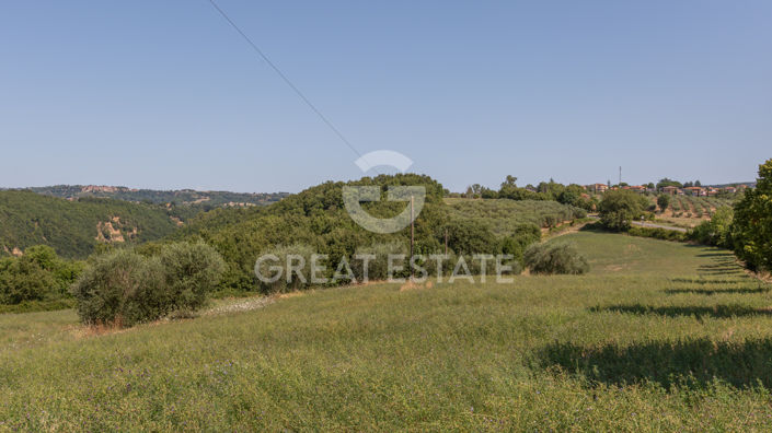 Image No.47-5 Bed Country House for sale