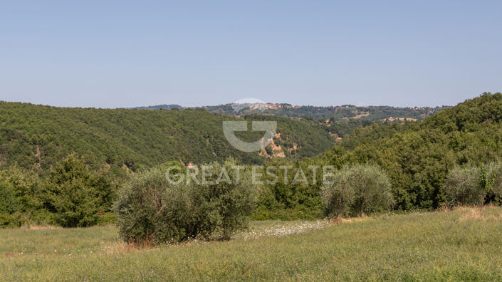 Image No.48-5 Bed Country House for sale