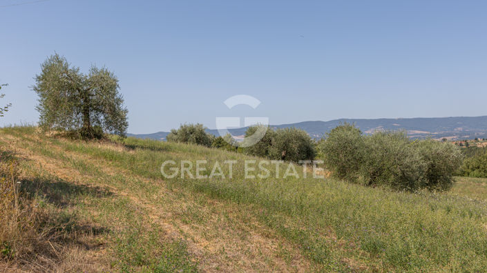 Image No.54-5 Bed Country House for sale