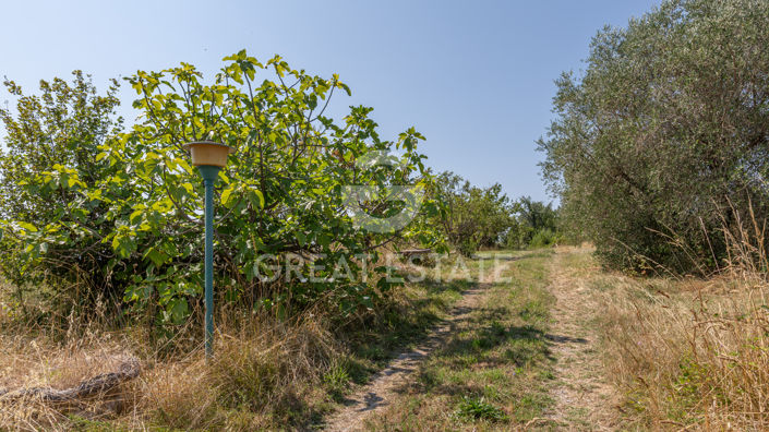 Image No.55-5 Bed Country House for sale