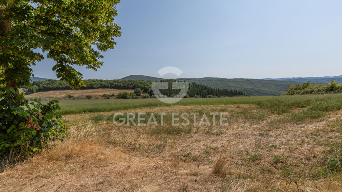 Image No.56-5 Bed Country House for sale