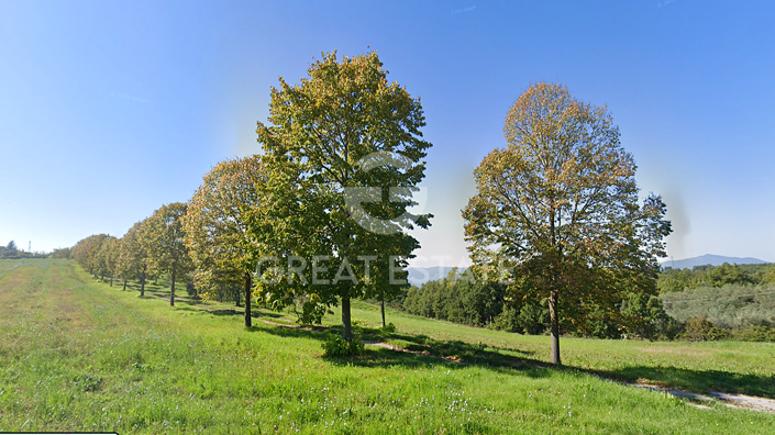 Image No.57-5 Bed Country House for sale