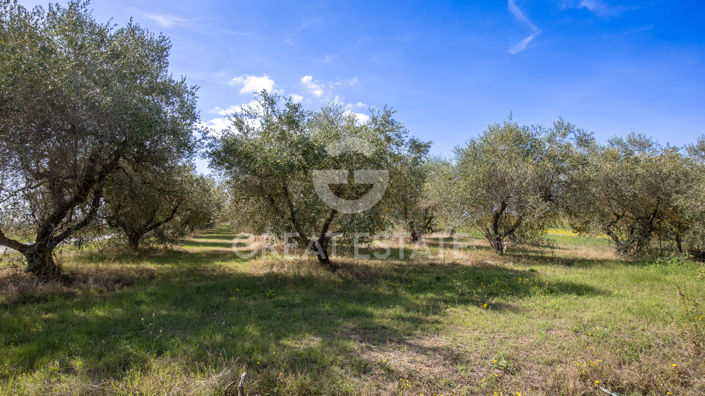 Image No.11-Maison de campagne de 6 chambres à vendre à Castiglione del Lago