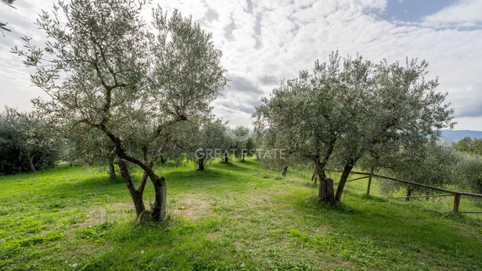 Image No.18-7 Bed Country House for sale