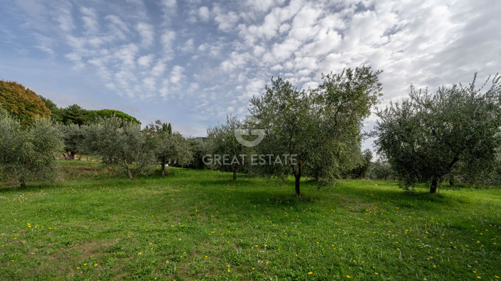 Image No.19-7 Bed Country House for sale