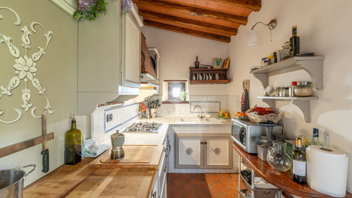 Image No.50-7 Bed Country House for sale