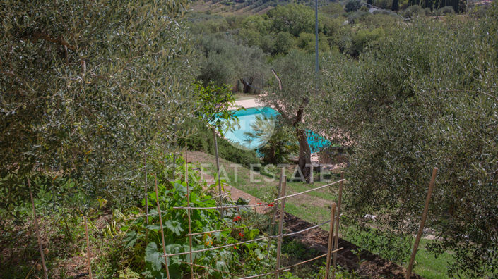 Image No.39-3 Bed Country House for sale