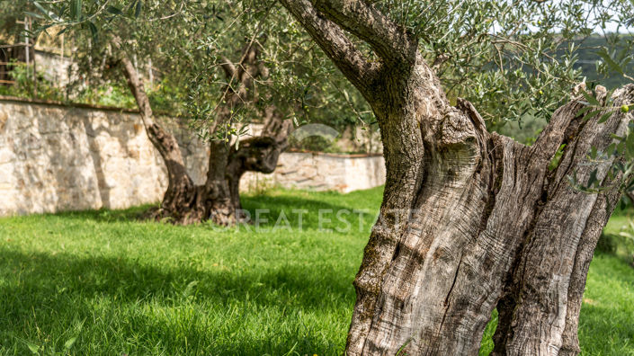 Image No.5-3 Bed Country House for sale