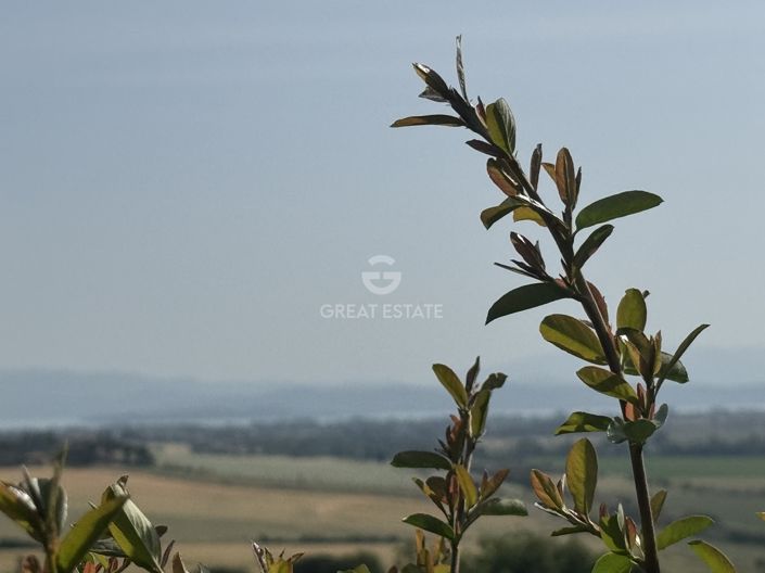 Image No.35-5 Bed Country House for sale