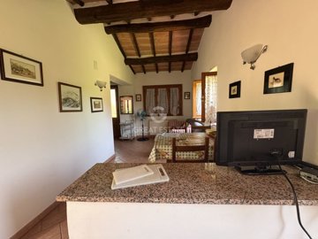Photo_5