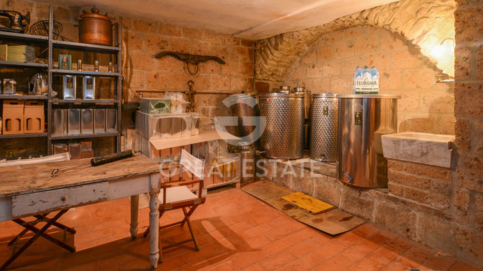 Image No.50-5 Bed Country House for sale