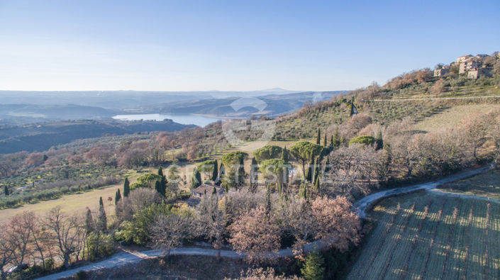 Image No.54-5 Bed Country House for sale