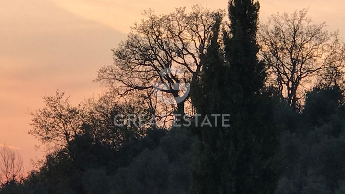 Image No.59-5 Bed Country House for sale