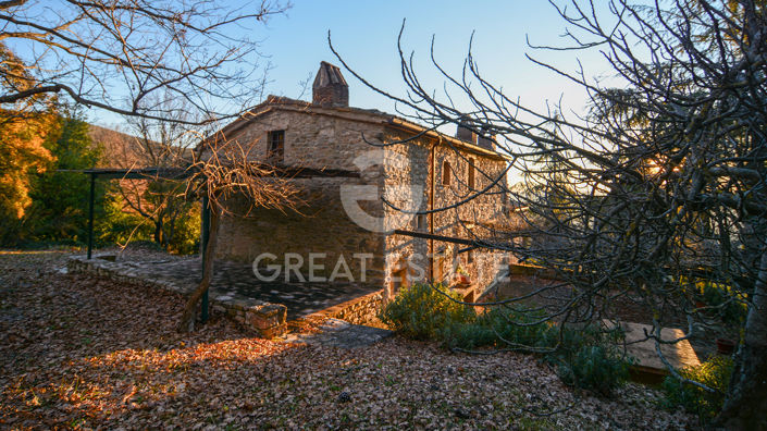 Image No.9-5 Bed Country House for sale