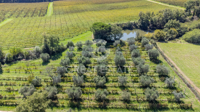 Image No.22-7 Bed Country House for sale