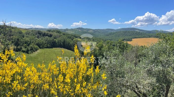 Image No.43-7 Bed Country House for sale