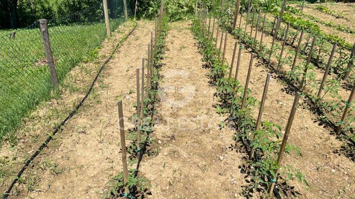 Image No.48-7 Bed Country House for sale