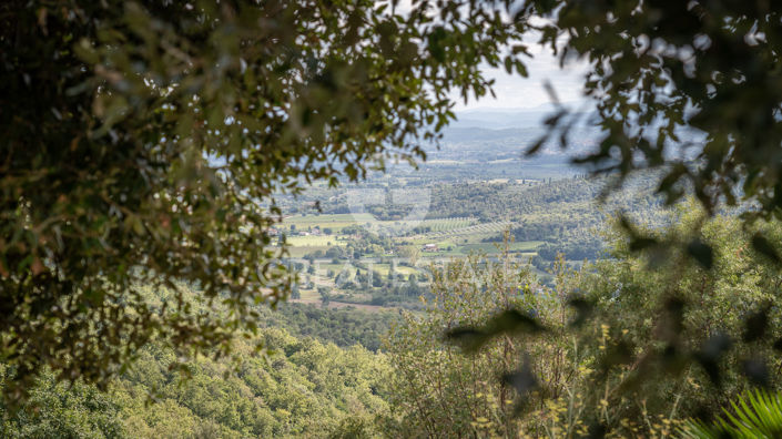 Image No.44-4 Bed Country House for sale