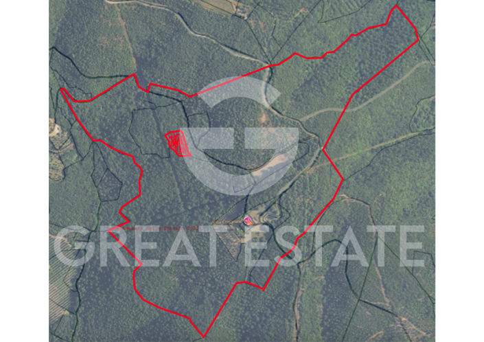 Image No.2-floorplan-2