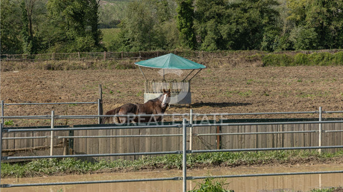 Image No.41-11 Bed Country House for sale