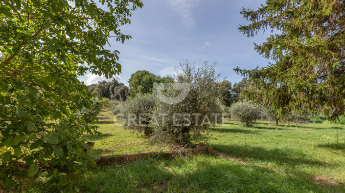 Image No.38-7 Bed Villa for sale