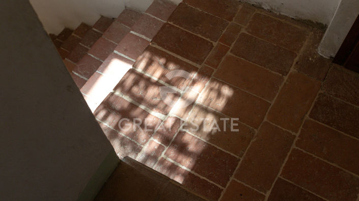 Image No.48-5 Bed Country House for sale