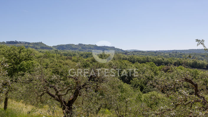 Image No.50-5 Bed Country House for sale