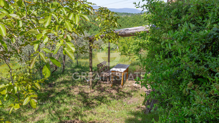 Image No.55-5 Bed Country House for sale