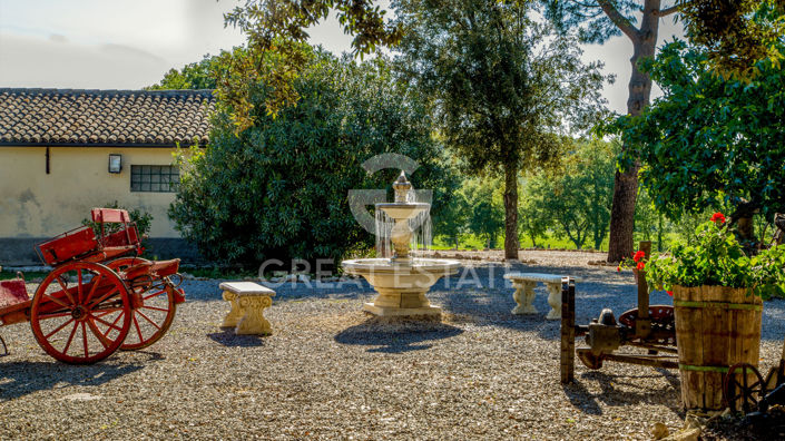 Image No.20-6 Bed Country House for sale