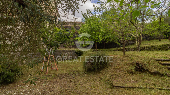 Image No.16-4 Bed Country House for sale