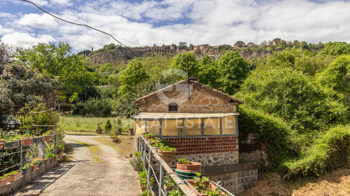 Image No.9-4 Bed Country House for sale