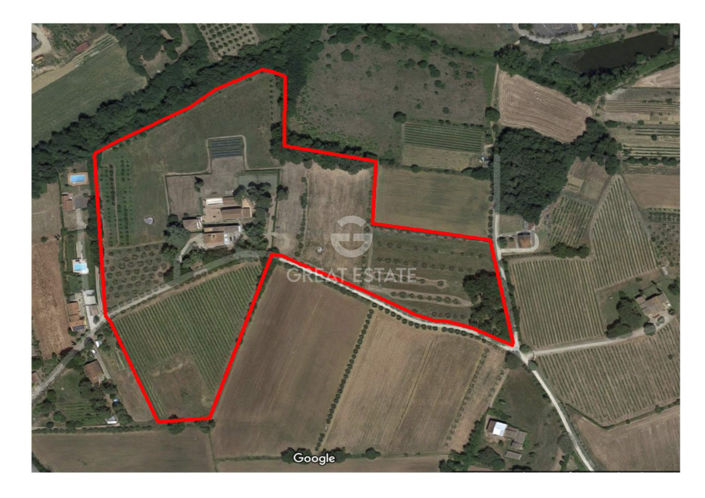 Image No.3-floorplan-3