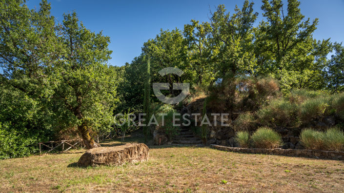 Image No.18-3 Bed Country House for sale