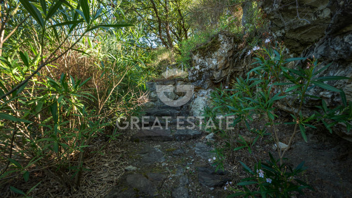 Image No.24-3 Bed Country House for sale