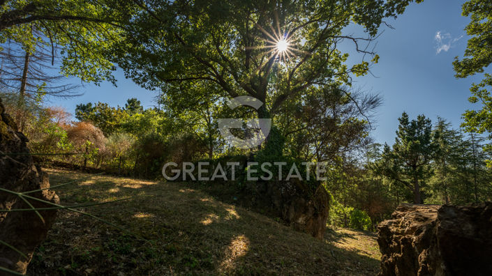 Image No.25-3 Bed Country House for sale